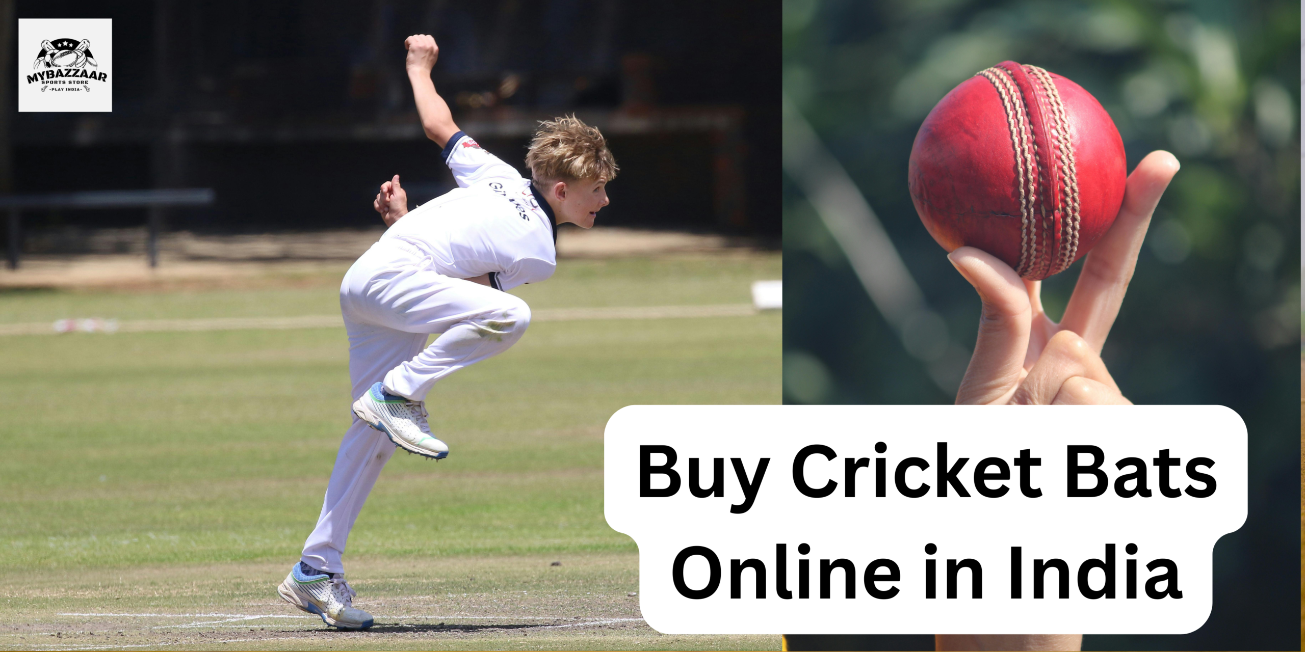 buy cricket balls online