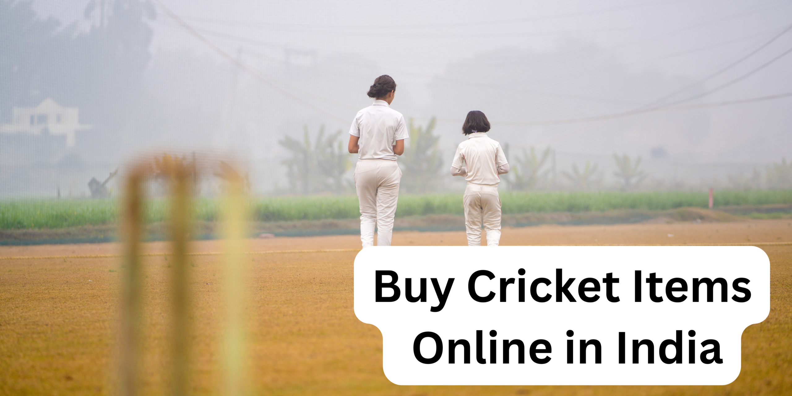buy cricket items online in India